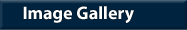 Click here to view the Image gallery